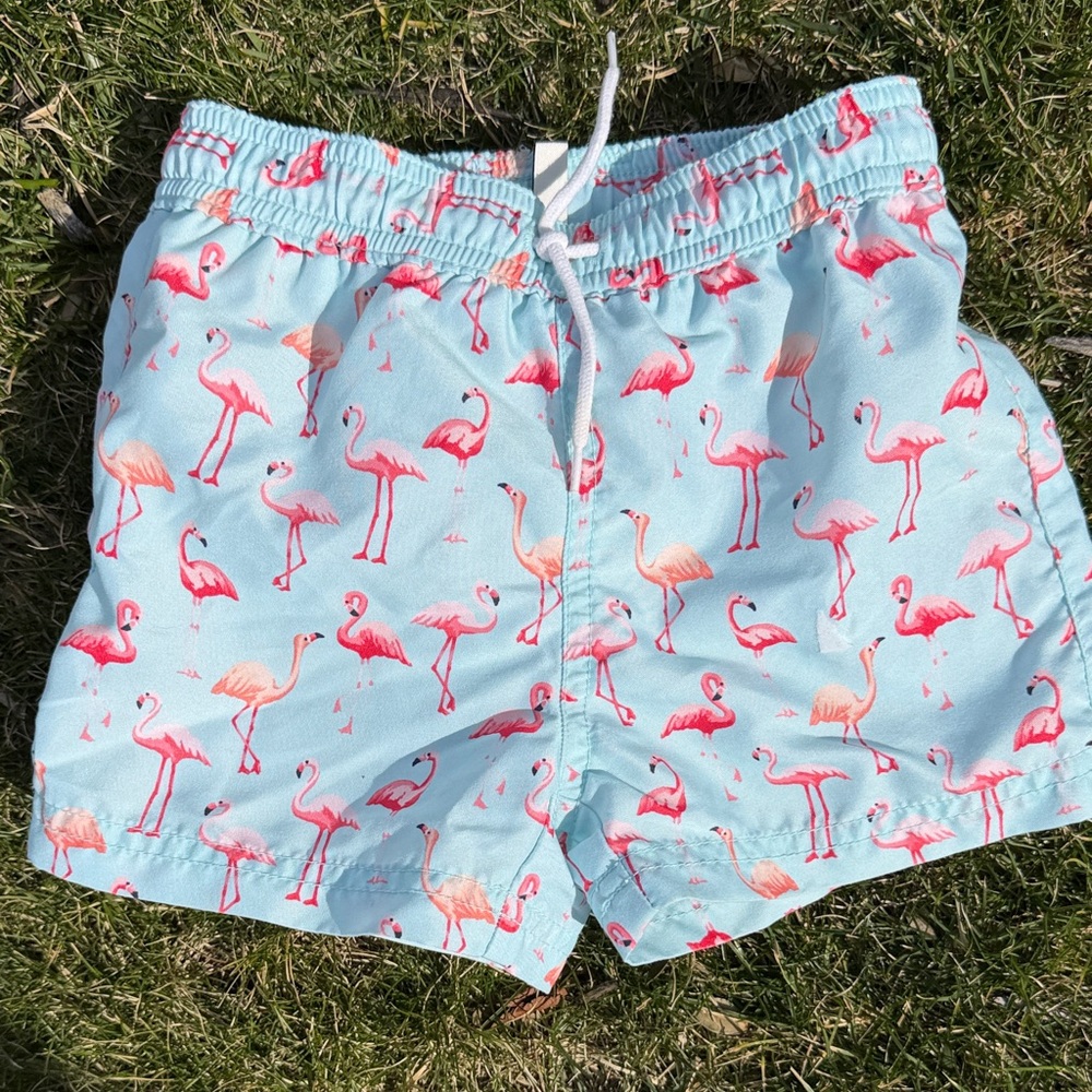 Janie and Jack Flamingo Print Kids Shorts - Light Blue